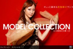 「Model Collection select…87　スペシャル」