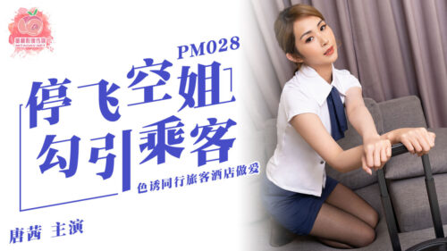 MD-PM028 Stop flight stewardess seducing passengers