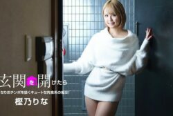 When Open The Door: A Cute Carnivorous Slut! Rina Kashino
